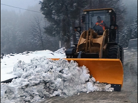 除雪铲除雪作业合理分配资源的重要性
